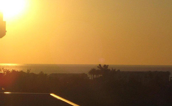 Photo condo en floride #9